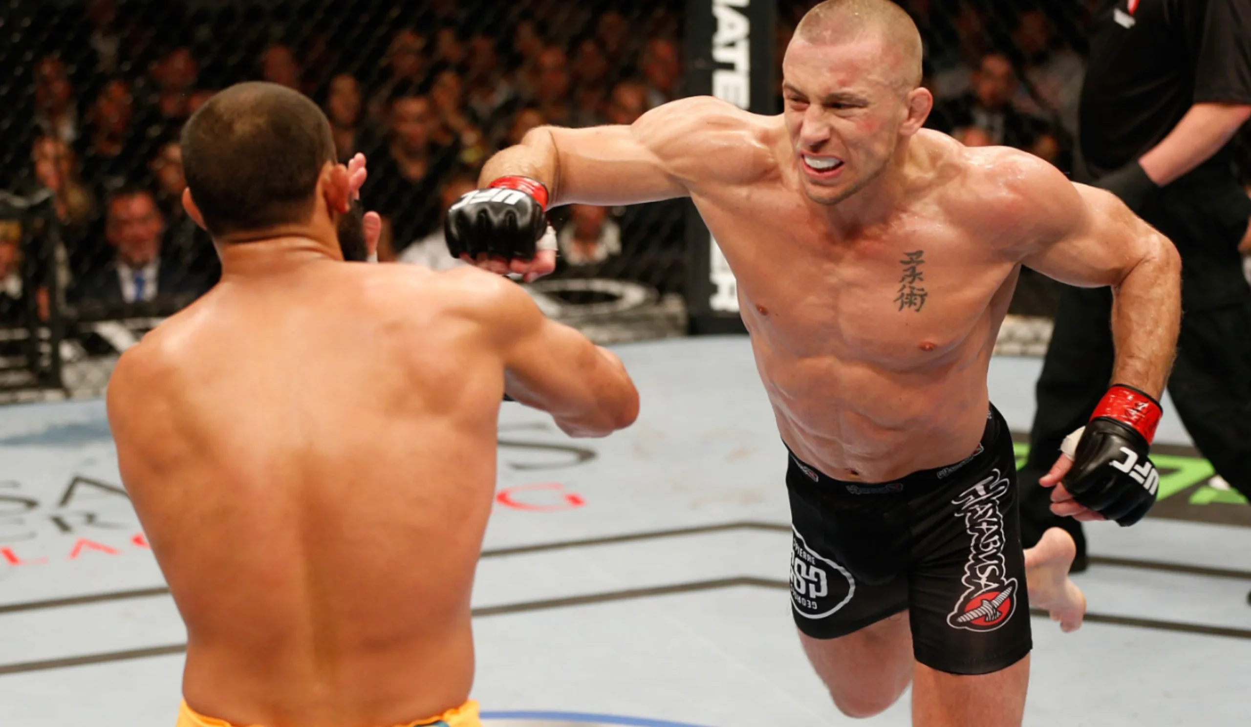 Les arts martiaux pratiqués par Georges Saint Pierre