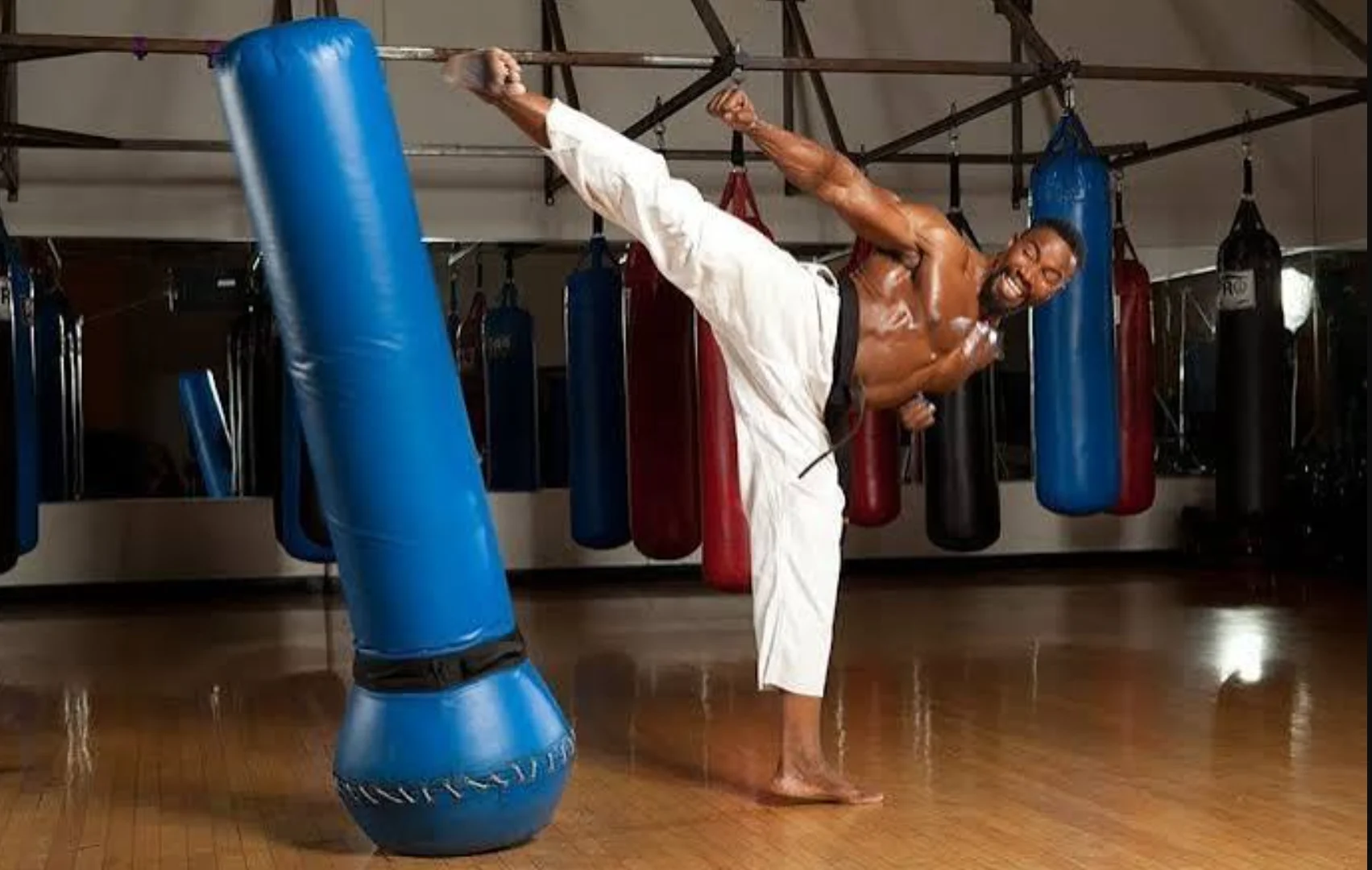 Michael Jai White et les arts martiaux